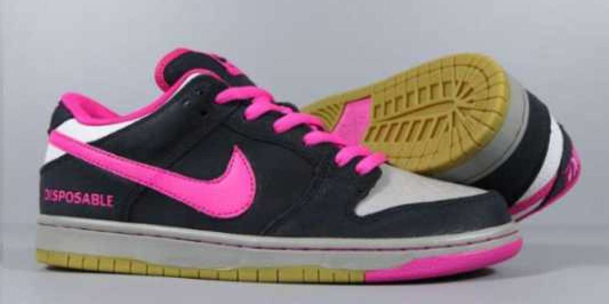 Nike Dunk SB Qs: Élégance