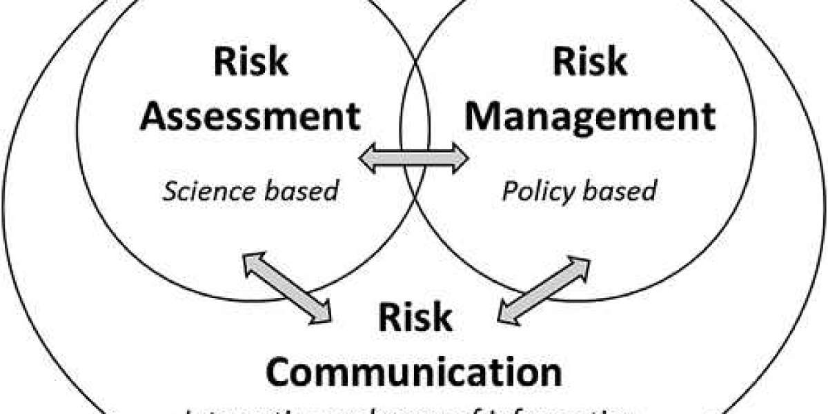 Risk Assessment And Management Market Size, Growth, Share, Forecast 2032