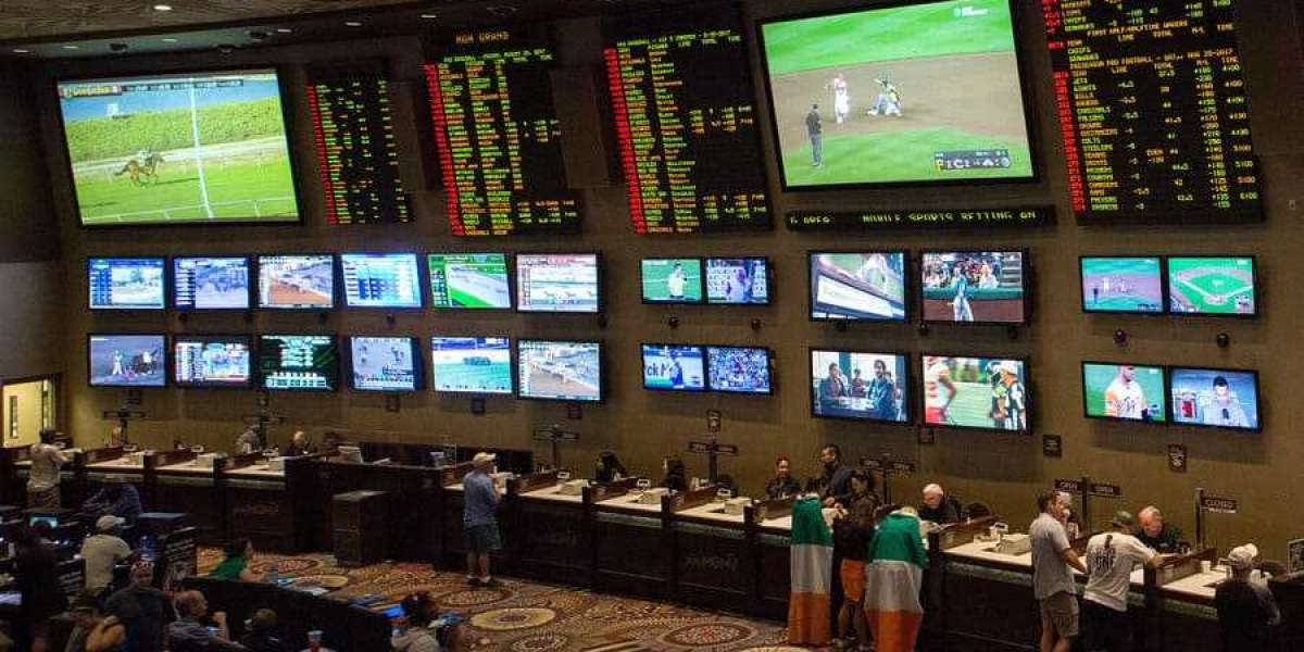 Korean Sports Betting: Your Ultimate Guide